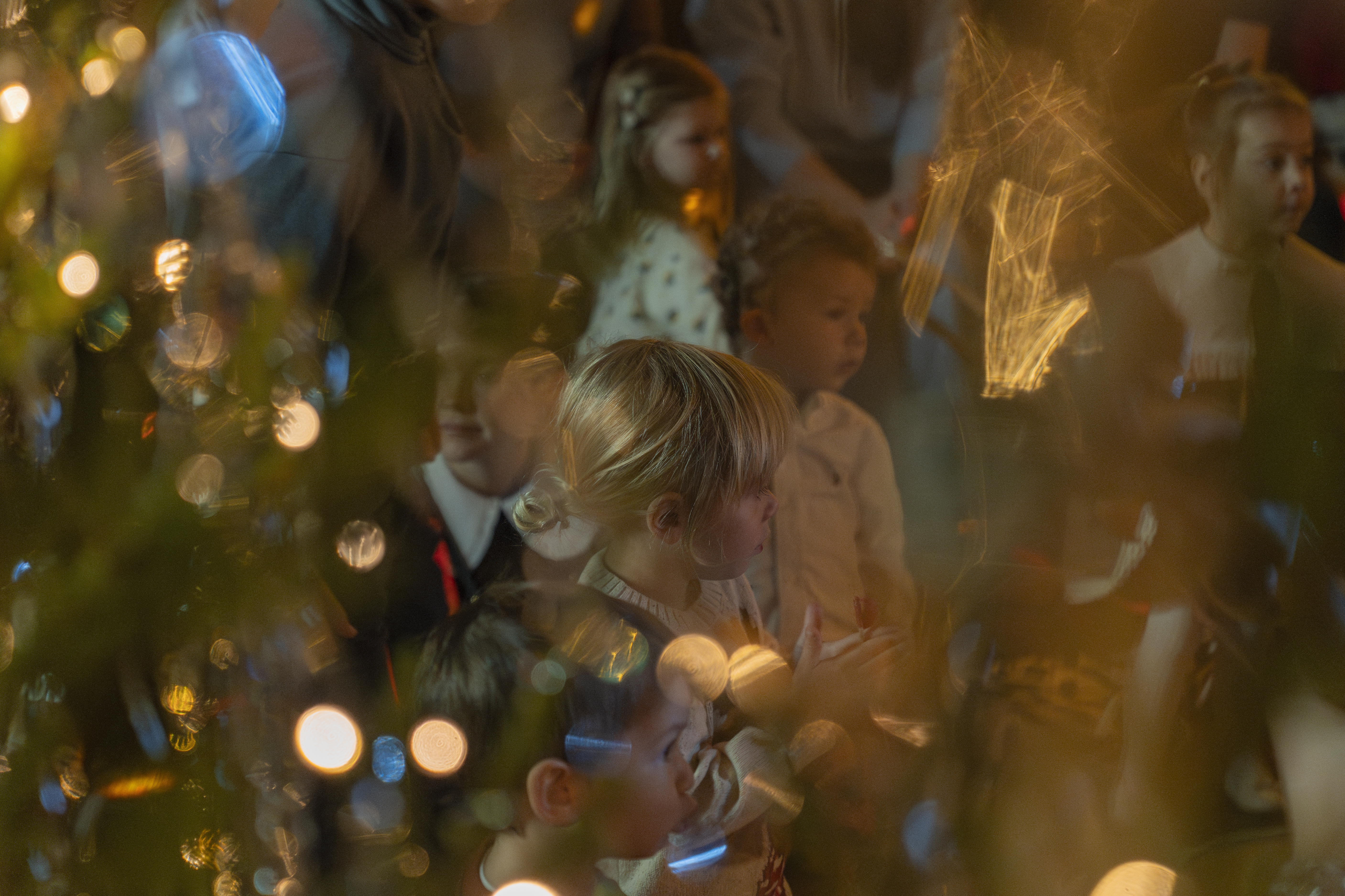 Ёлка Парка Горького в Зеленой Школе