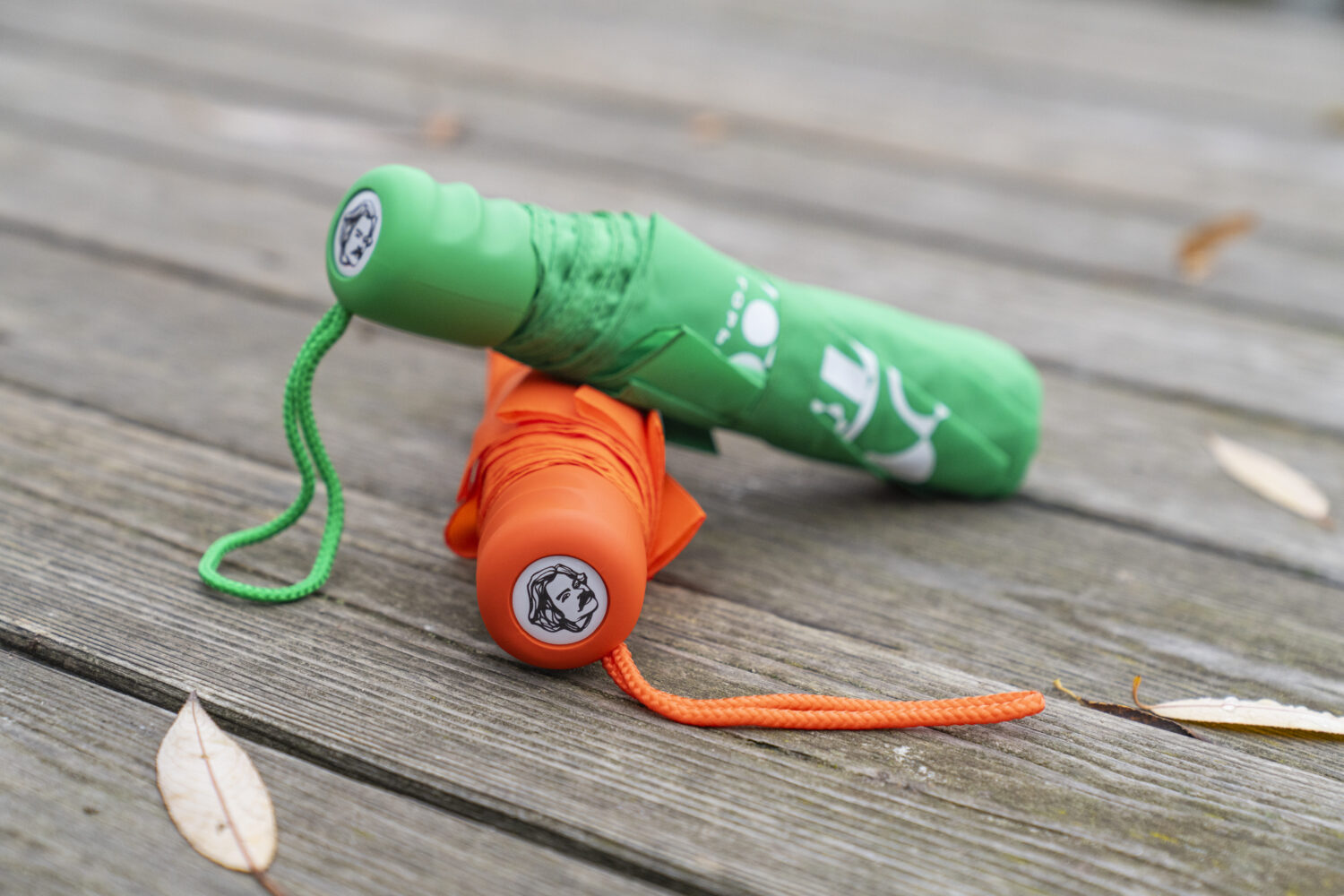 Осенняя коллекция зонтов