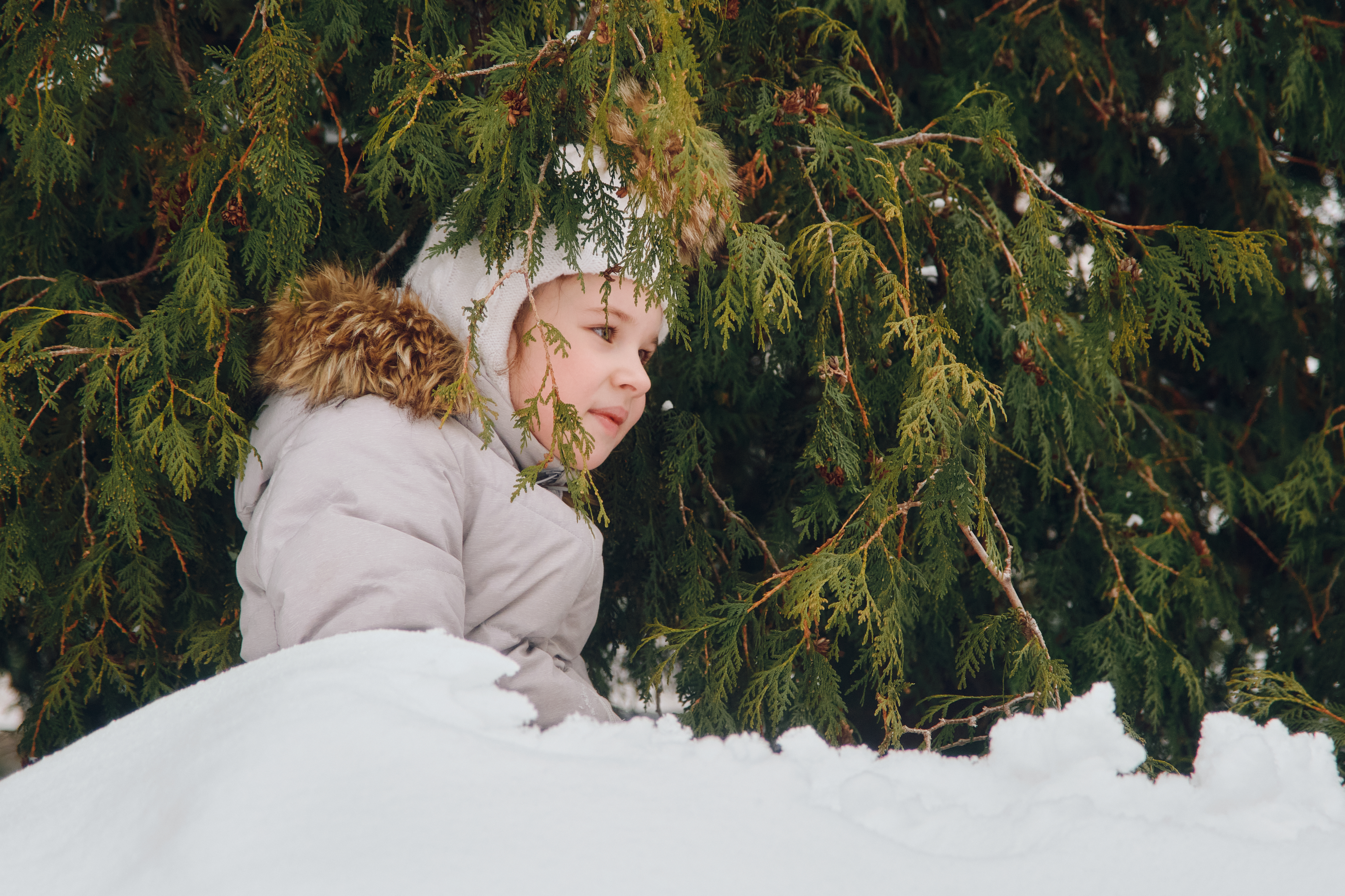 КАМПУС ЗИМА